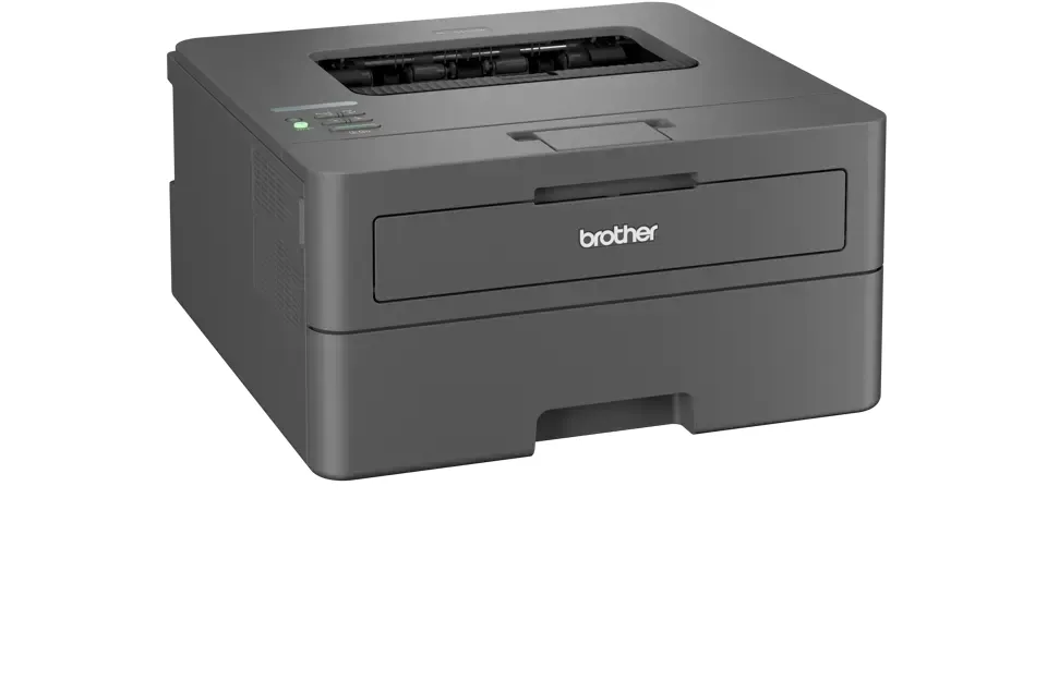 Brother HL-L2400DWE, EcoPro, Laser, einfarbig