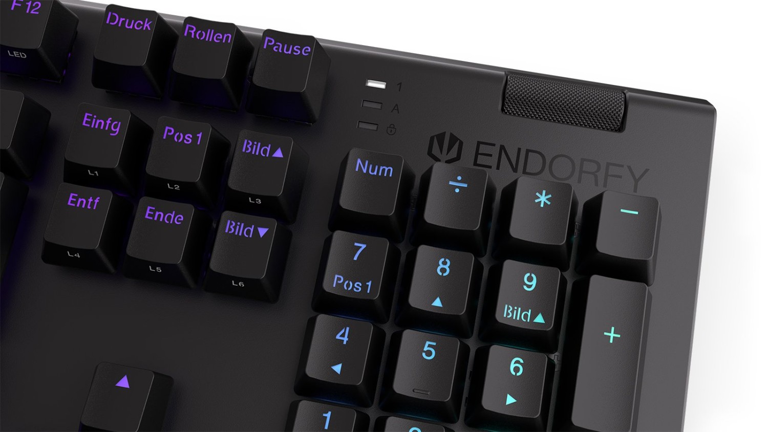 ENDORFY Omnis, PBT, LEDs RGB, Kailh RED, USB, DE