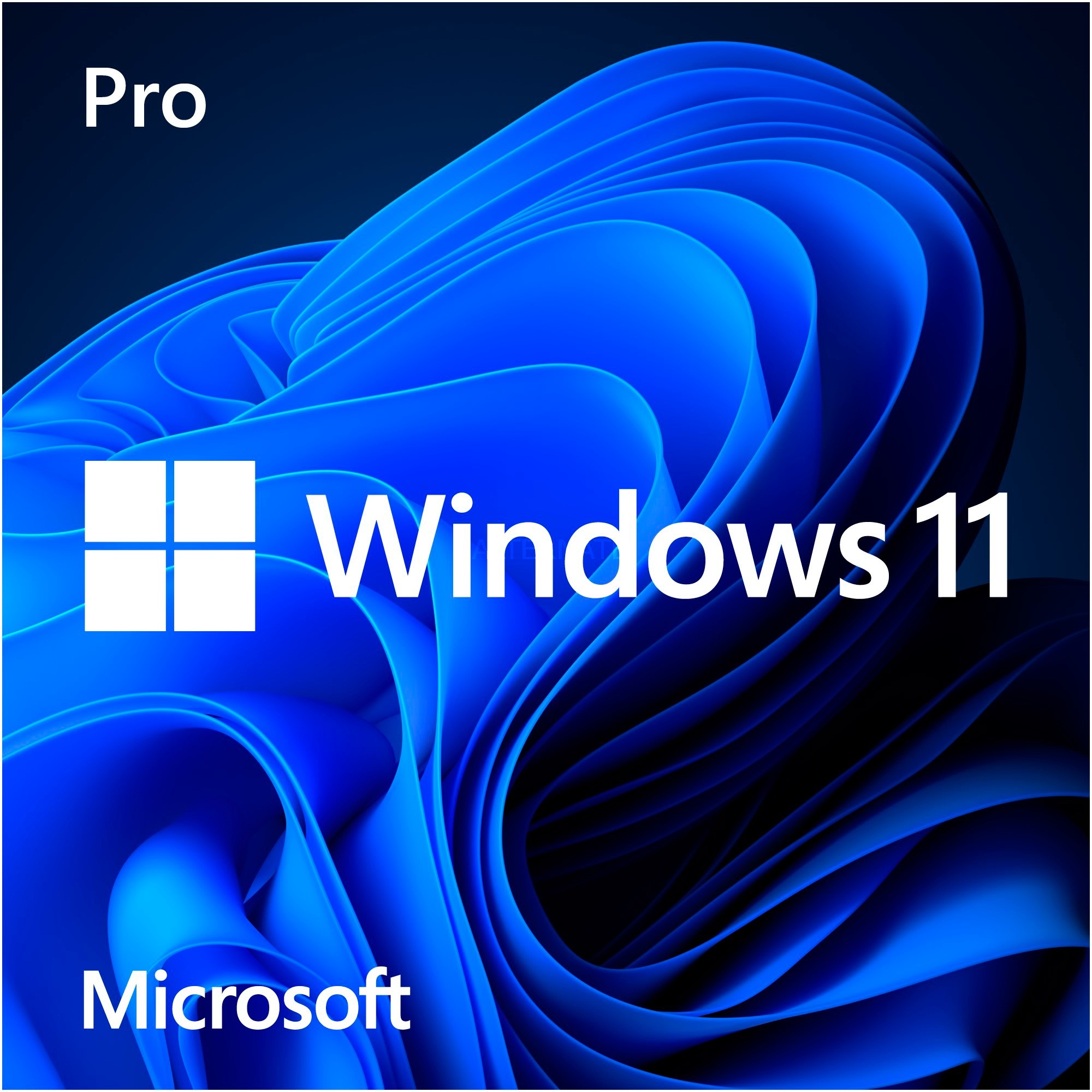 Microsoft Windows 11 Pro 64Bit, DSP/SB (deutsch) (PC)