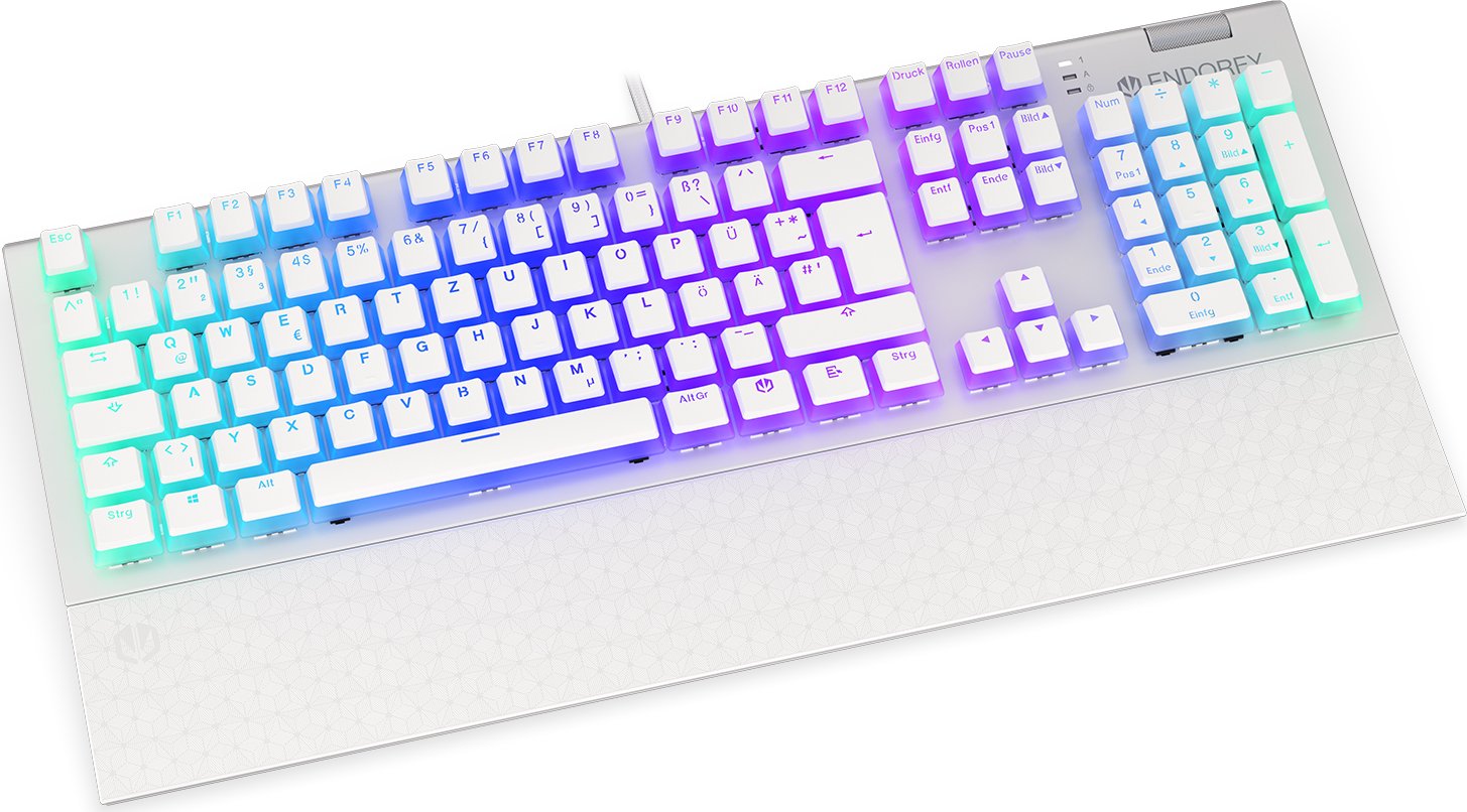 ENDORFY Omnis Pudding, Onyx White, PBT, LEDs RGB, Kailh BROWN, USB, DE