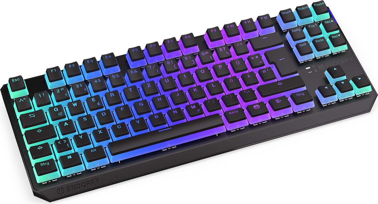ENDORFY Thock TKL Wireless Pudding, PBT, LEDs RGB, hot-swap, Kailh Box RED, USB/Bluetooth, DE
