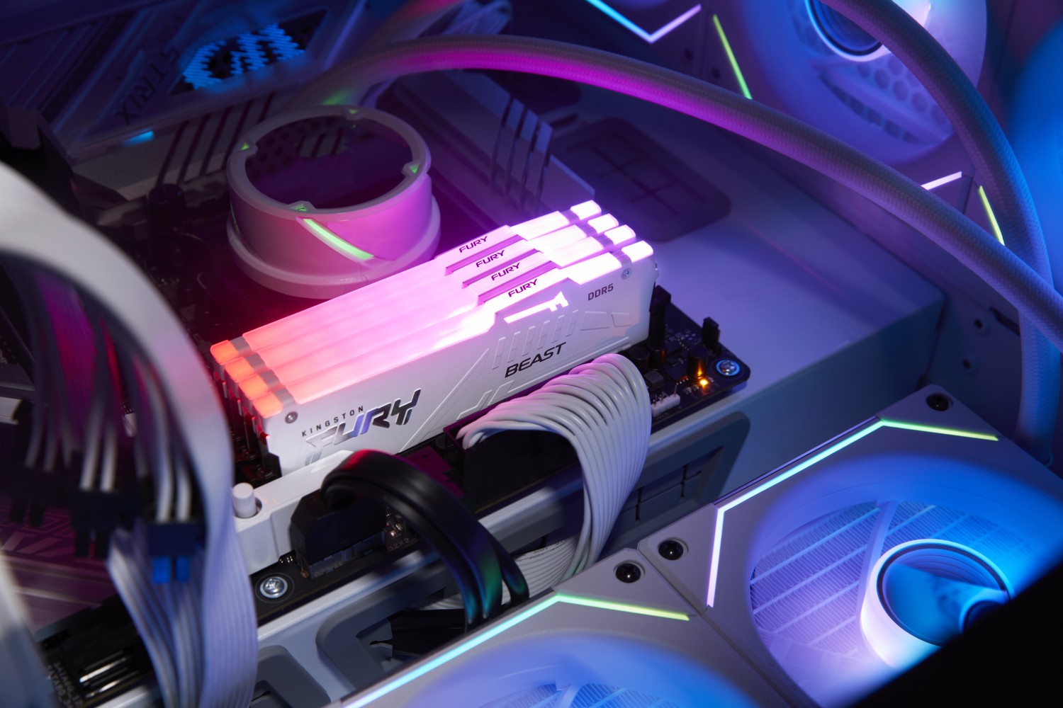 32GB Kingston FURY Beast RGB weiß DIMM Kit, DDR5-6000, XMP/EXPO - KF560C30BWEAK2-32