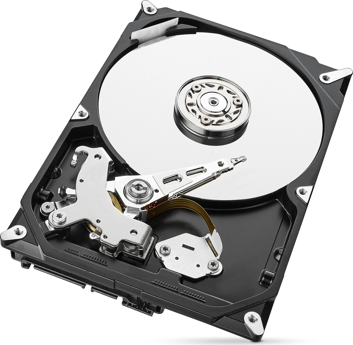 1000 GB Seagate IronWolf NAS HDD +Rescue - ST1000VN008