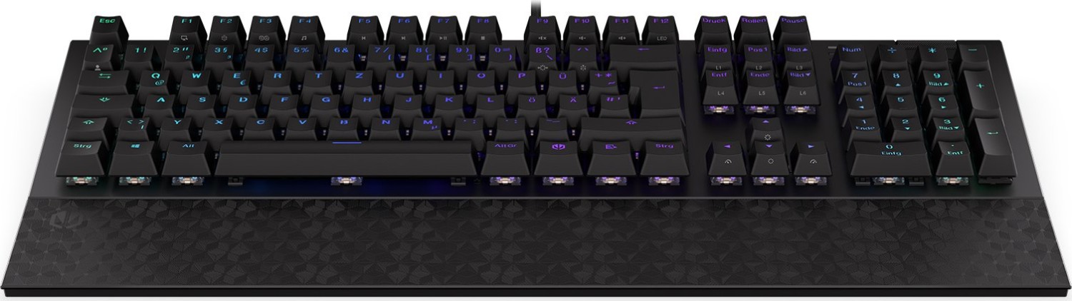 ENDORFY Omnis, PBT, LEDs RGB, Kailh RED, USB, DE