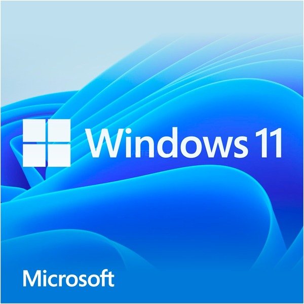 Microsoft Windows 11 Home 64Bit, DSP/SB (deutsch) (PC)