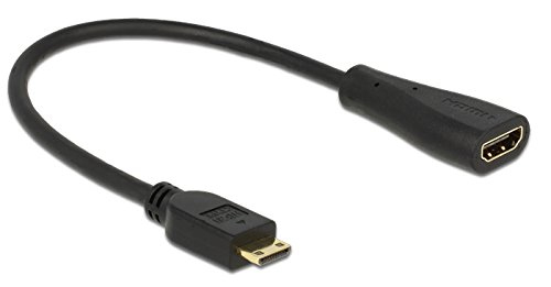 DeLOCK HDMI Typ C auf HDMI Typ A Adapter schwarz - 23cm - 65650
