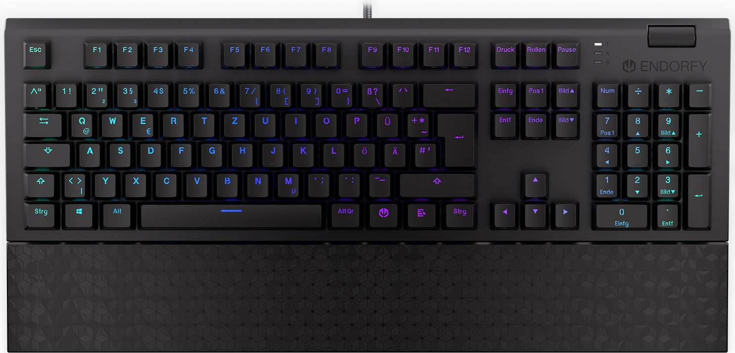 ENDORFY Omnis, PBT, LEDs RGB, Kailh RED, USB, DE