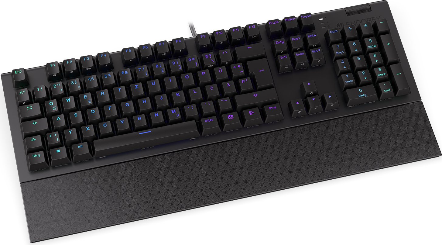 ENDORFY Omnis, PBT, LEDs RGB, Kailh RED, USB, DE
