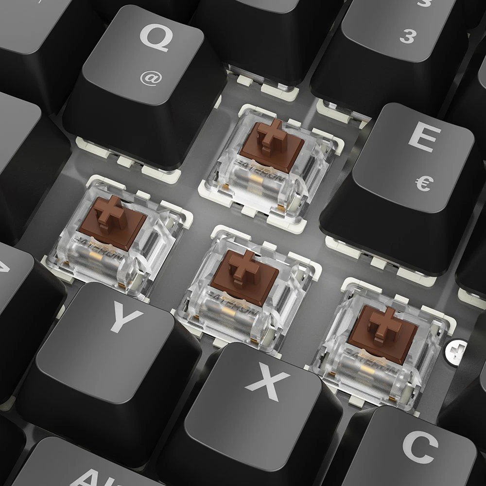 Sharkoon Skiller SGK50 S2, schwarz, LEDs RGB, hot-swap, Gateron BROWN, USB, DE